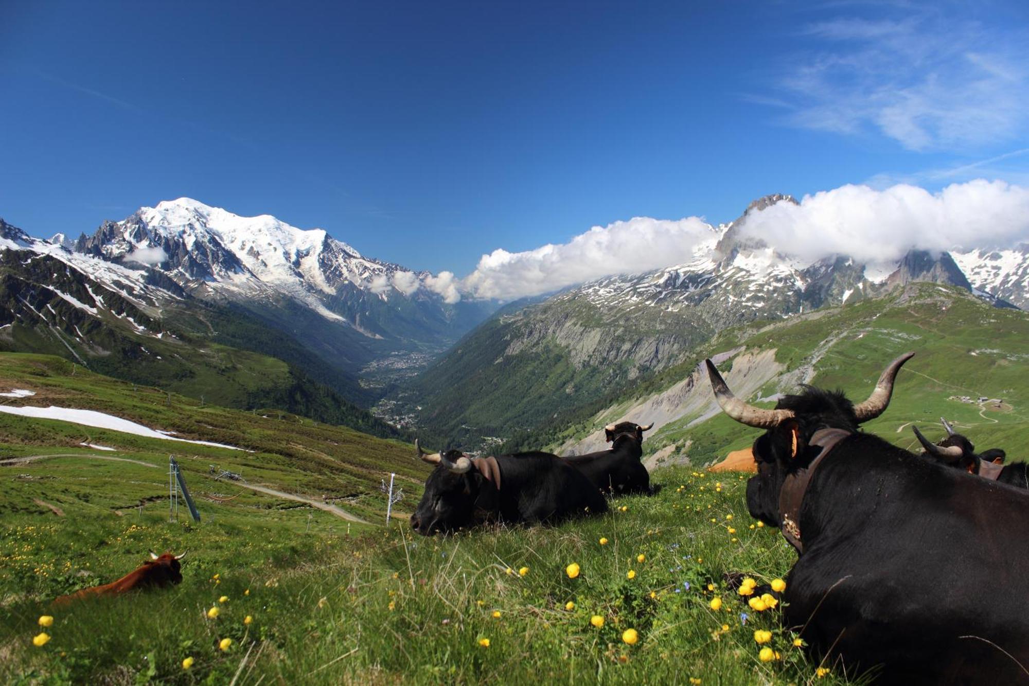 Viachamonix I Confort & Nature, Skis Aux Pieds Vallorcine Esterno foto